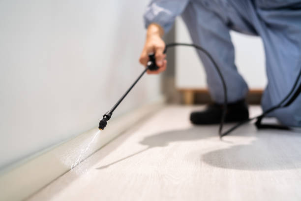 Professional exterminator conducting IPM assessment in Kelseyville